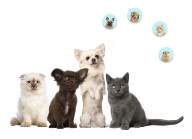 Política de Privacitat